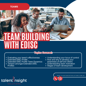 Team Building with EDISC